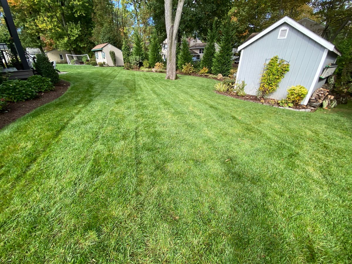 Finished lawn care — beautifully maintained yard