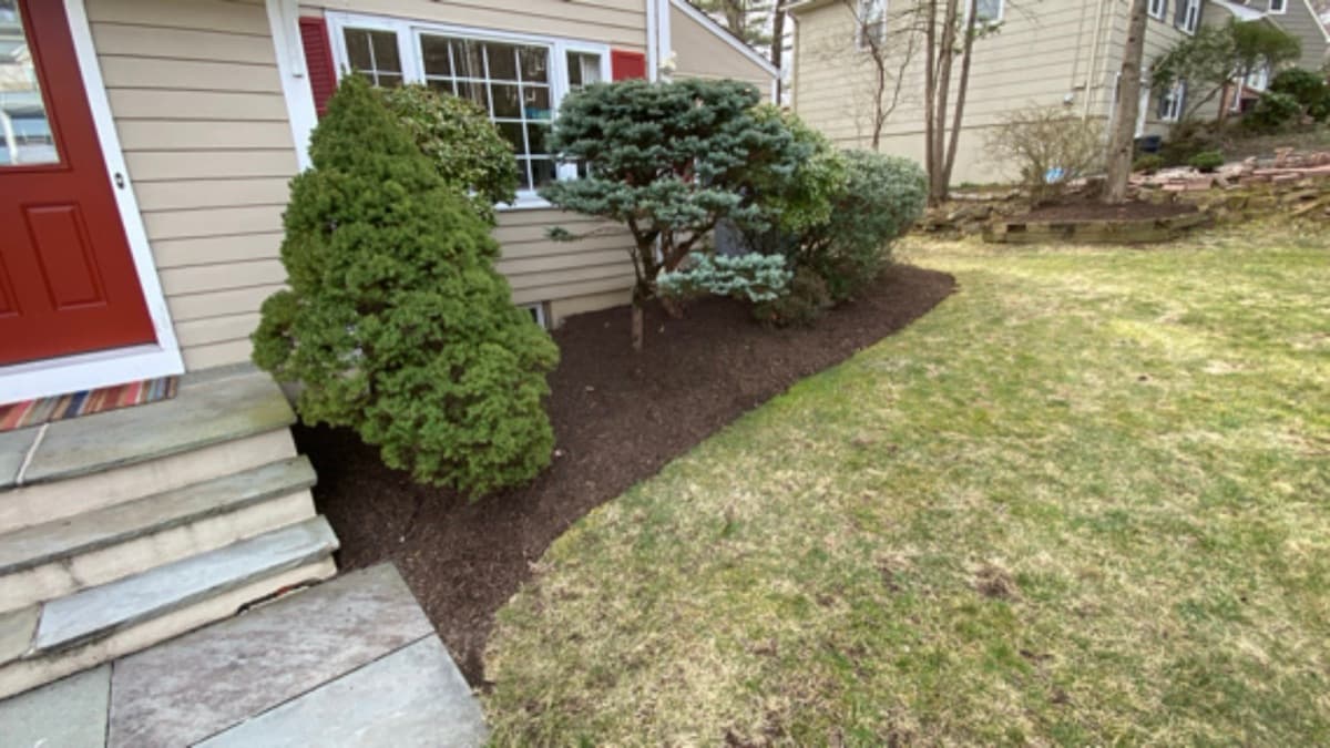 Landscaping design and installation