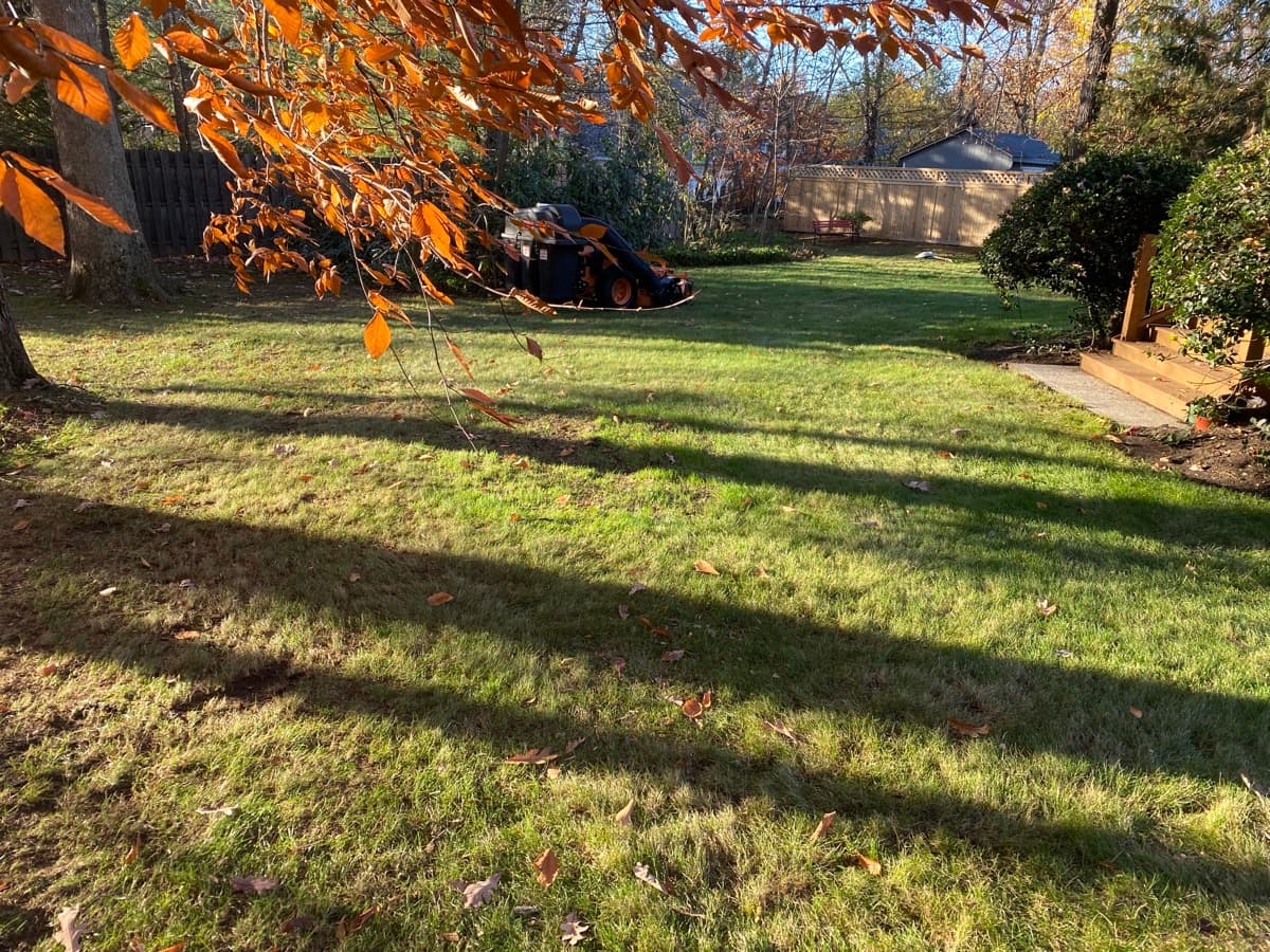 Autumn lawn care — seasonal cleanup
