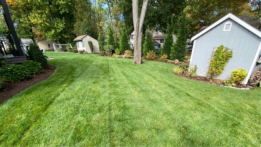 Vista Landscaping project